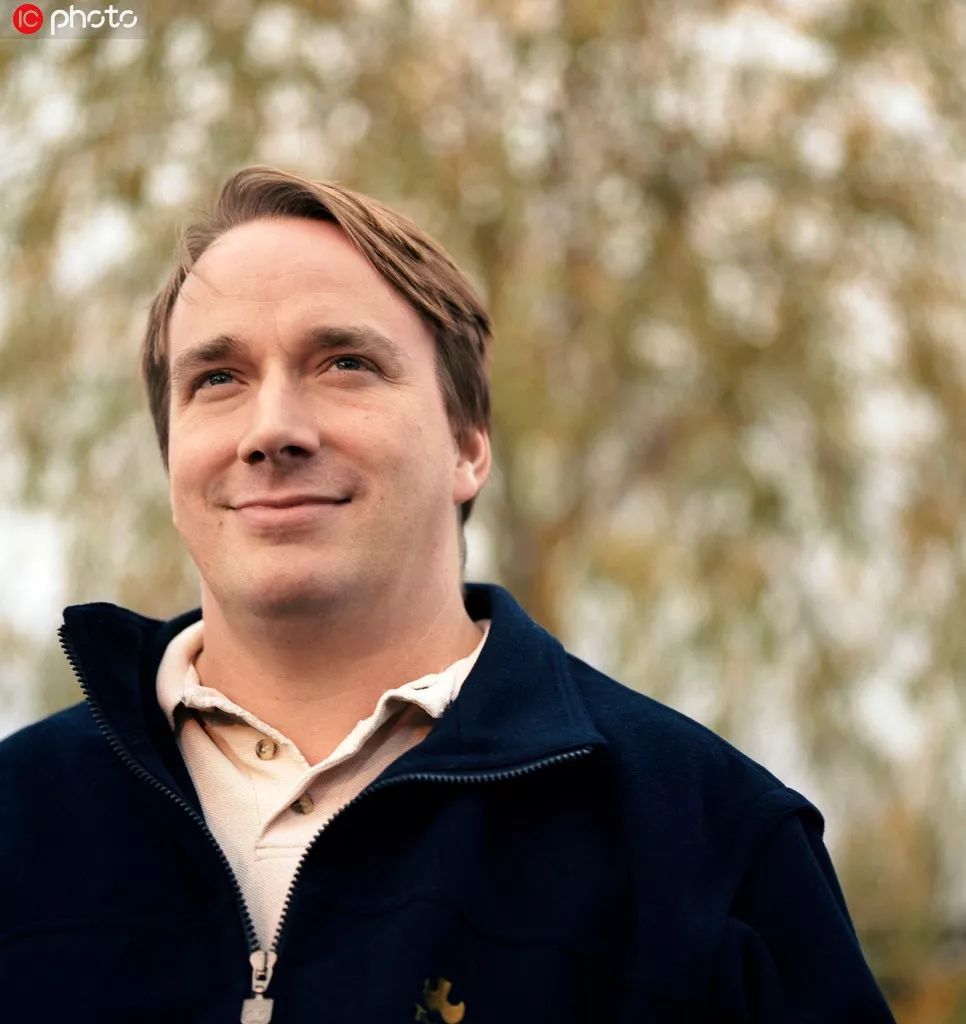 Linus Torvalds:最庆幸的是 30 年后,Linux 不是一个“死”项目