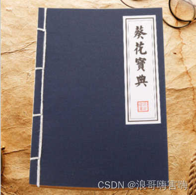 CSDN涨粉秘籍(亲测有效)