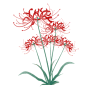 微信多开软件苹果版_苹果(iphone)微信双开软件|ios系统福利来了